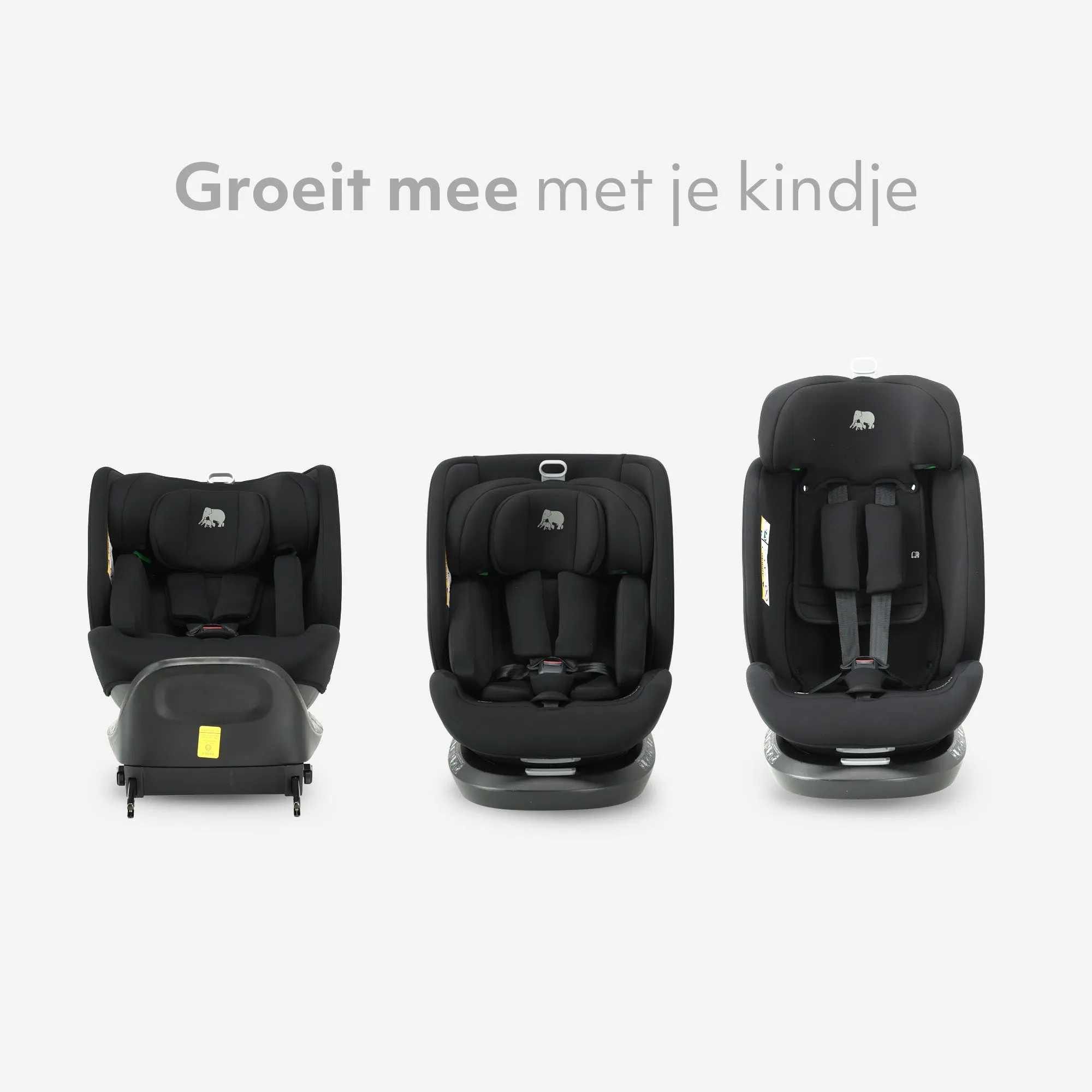 Miniatuur 4