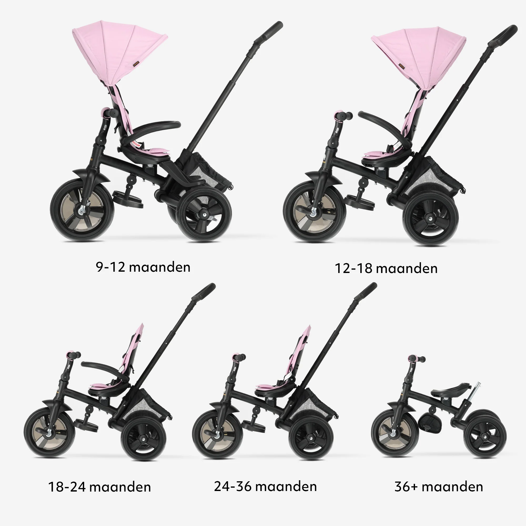 Miniatuur 10